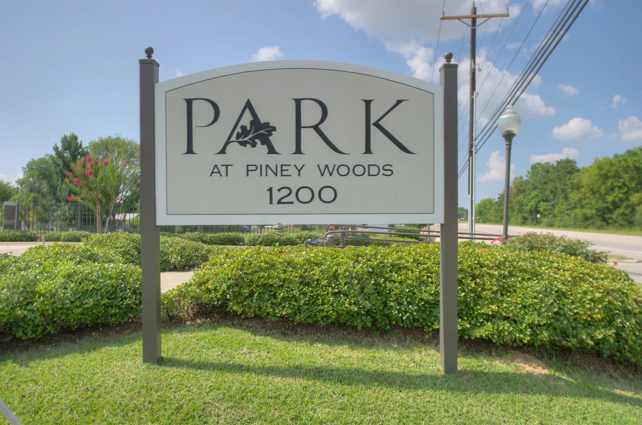 Park at Pineywoods