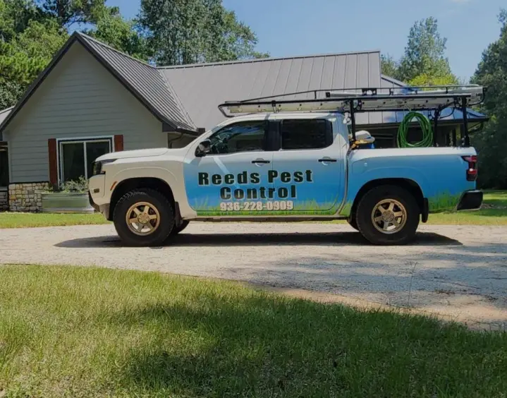 Pest Control Conroe - Full Scope
