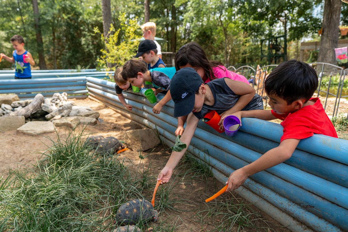 The Learning Zoo